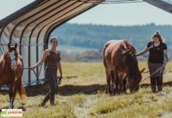 Abri Souple Pour Animaux En Polyéthylène 49,6 M² 8 Abri Souple Pour Animaux En Polyéthylène 49,6 M² -Abriet Mobilier Soldes Boutique abri chevaux polyethylene 49m2