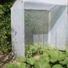Mini Serre De Jardin Potager Polyéthylène