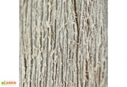 Armoire Haute Brossium En Résine (140 X 73,6 X 170) 9 Armoire Haute Brossium En Résine (140 X 73,6 X 170) -Abriet Mobilier Soldes Boutique armoire jardin brossium chalet jardin effet bois vieilli 1