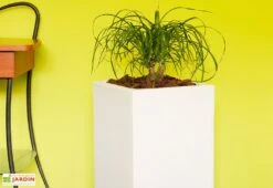 Pot De Fleurs En Polyéthylène Atlantis – 30 X 30 X 47 Cm -Abriet Mobilier Soldes Boutique bac a fleurs blanc 2