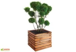 Bac à Fleurs En Bois Lign Z 60 (60x60x50cm)