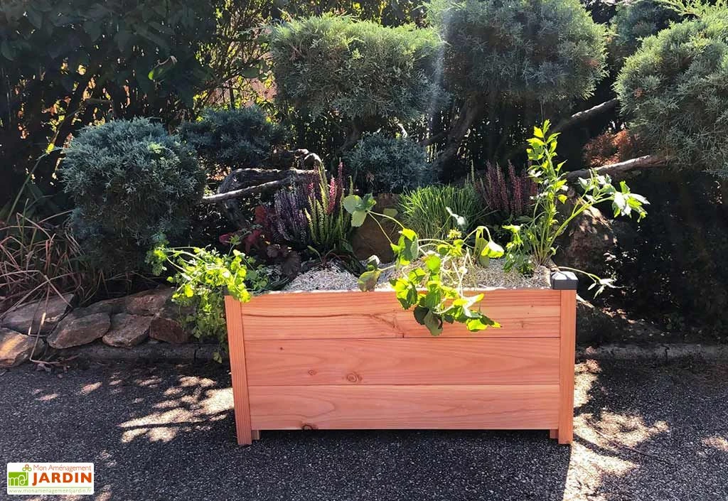 Jardinière Rectangulaire En Bois Douglas Non Traité - Premium 2 Jardinière Rectangulaire En Bois Douglas Non Traité - Premium – Image 2