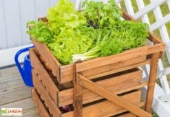 Légumier En Bois Autoclave Brun 4 Tiroirs - 50 X 54 X 60 Cm -Abriet Mobilier Soldes Boutique bac legumes bois