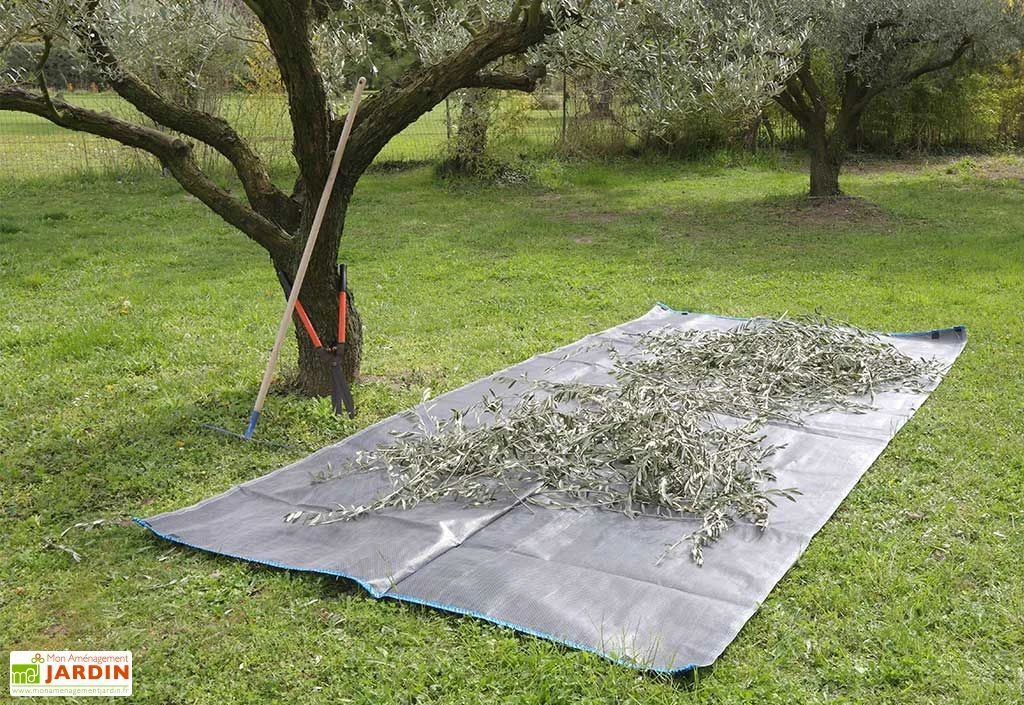 Bâche De Ramassage Jardin En Polypropylène Avec Poignées 500 X 200 Cm 1 Bâche De Ramassage Jardin En Polypropylène Avec Poignées 500 X 200 Cm