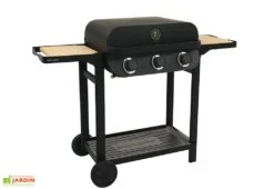 Barbecue Au Gaz Sur Chariot En Métal – 3 Brûleurs