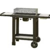 Barbecue à Charbon De Bois En Acier Surface 57 X 30 Cm – Easy 60
