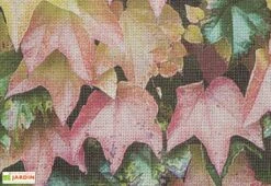 Échantillon De Brise Vue Décoratif