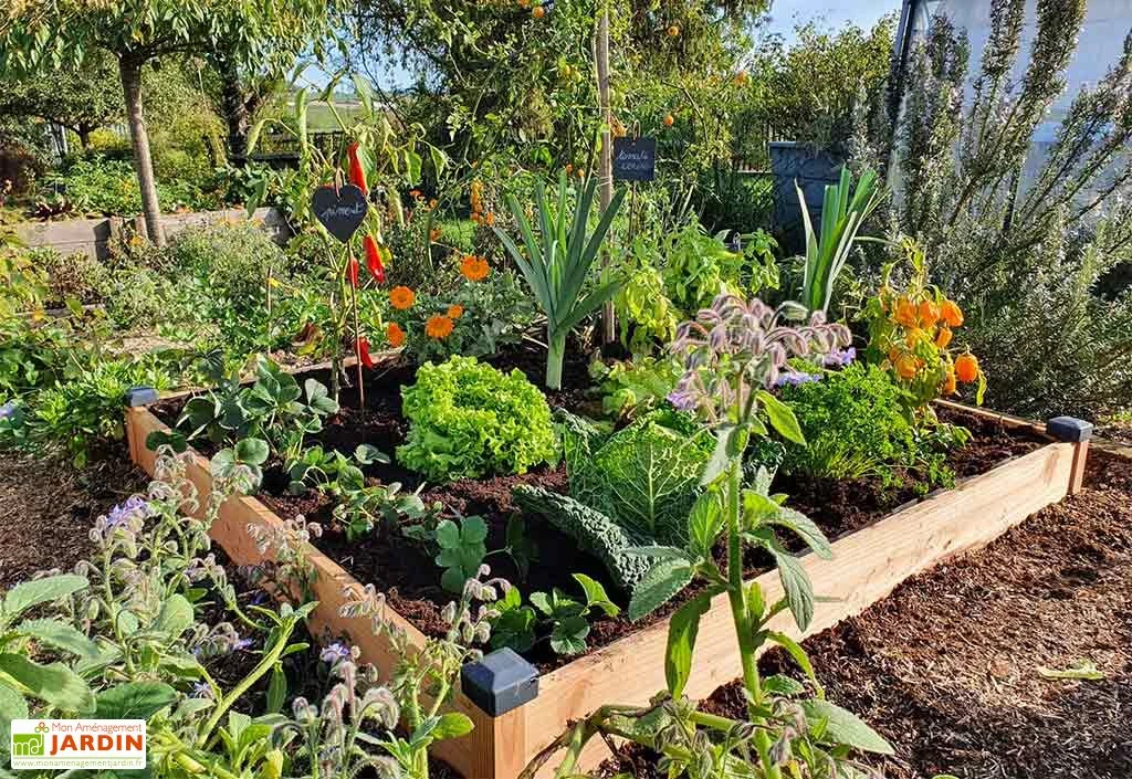 Carré Potager En Bois Douglas Non Traité Premium – 174 L 1 Carré Potager En Bois Douglas Non Traité Premium – 174 L