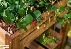 Carré Potager Sur Pieds En Bois Autoclave Brun - 75 X 75 X 79 Cm 8 Carré Potager Sur Pieds En Bois Autoclave Brun - 75 X 75 X 79 Cm -Abriet Mobilier Soldes Boutique carre potager bois 1 1