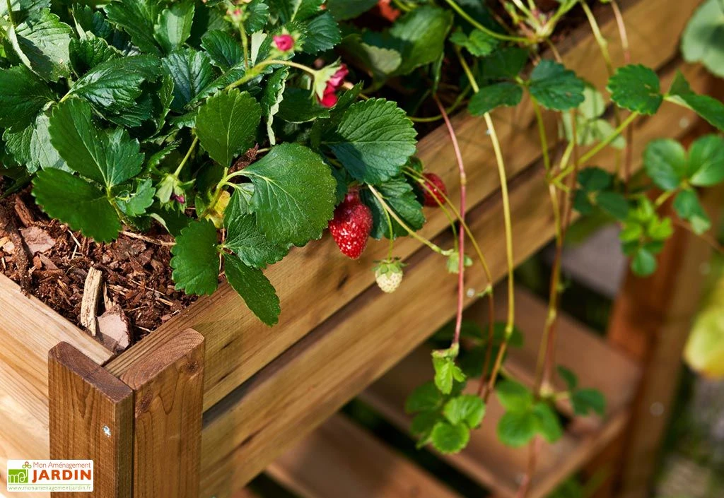 Carré Potager Sur Pieds En Bois Autoclave Brun - 75 X 75 X 79 Cm 3 Carré Potager Sur Pieds En Bois Autoclave Brun - 75 X 75 X 79 Cm – Image 3