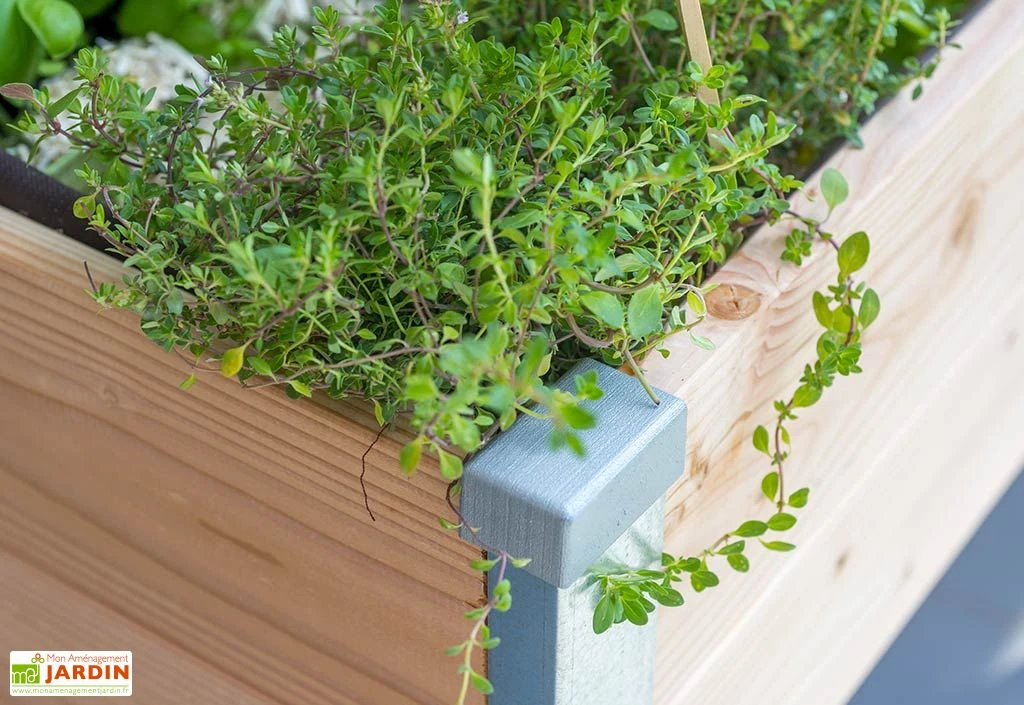 Carré Potager Sur Pied En Bois Douglas 19 Mm – 75 X 80 X 80 Cm 3 Carré Potager Sur Pied En Bois Douglas 19 Mm – 75 X 80 X 80 Cm – Image 3