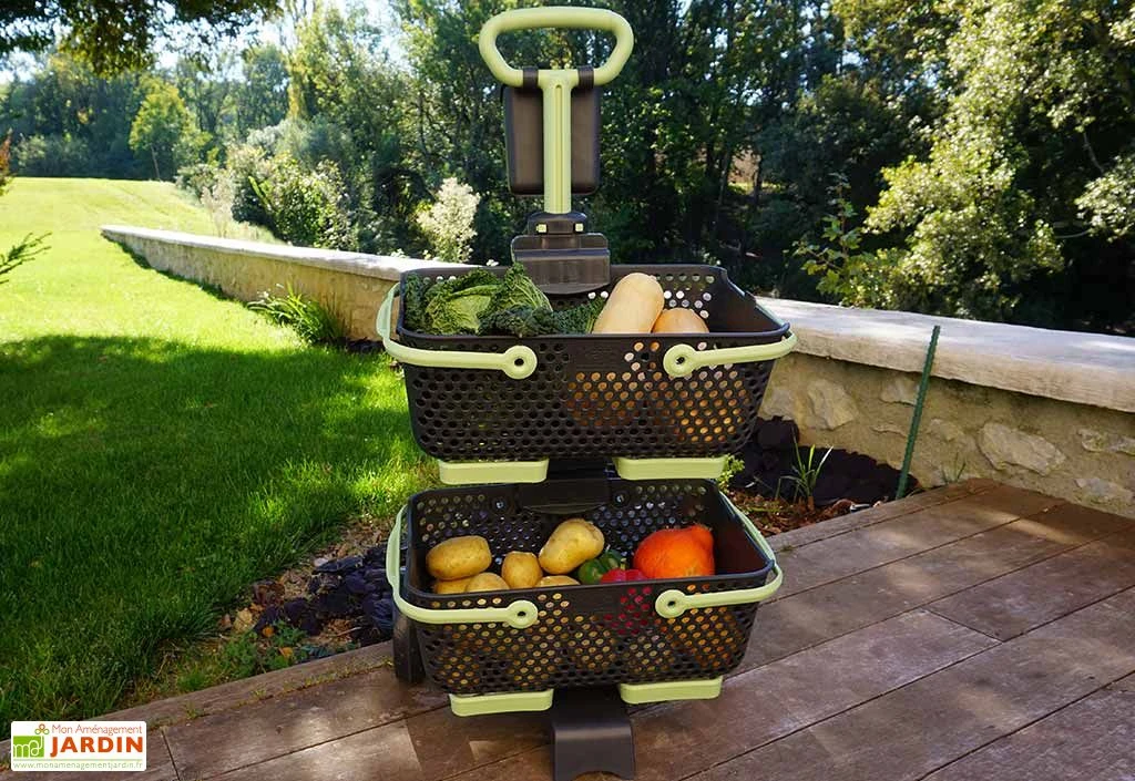 Chariot à Roulettes Pour Paniers De Récolte Kajo 15 L - Kaba 2 Chariot à Roulettes Pour Paniers De Récolte Kajo 15 L - Kaba – Image 2