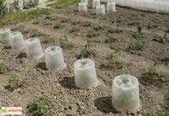 Cloche Potagère à Forcer Modulo ø35 Cm (lot De 3) 7 Cloche Potagère à Forcer Modulo ø35 Cm (lot De 3) -Abriet Mobilier Soldes Boutique cloche potagere modulo 3