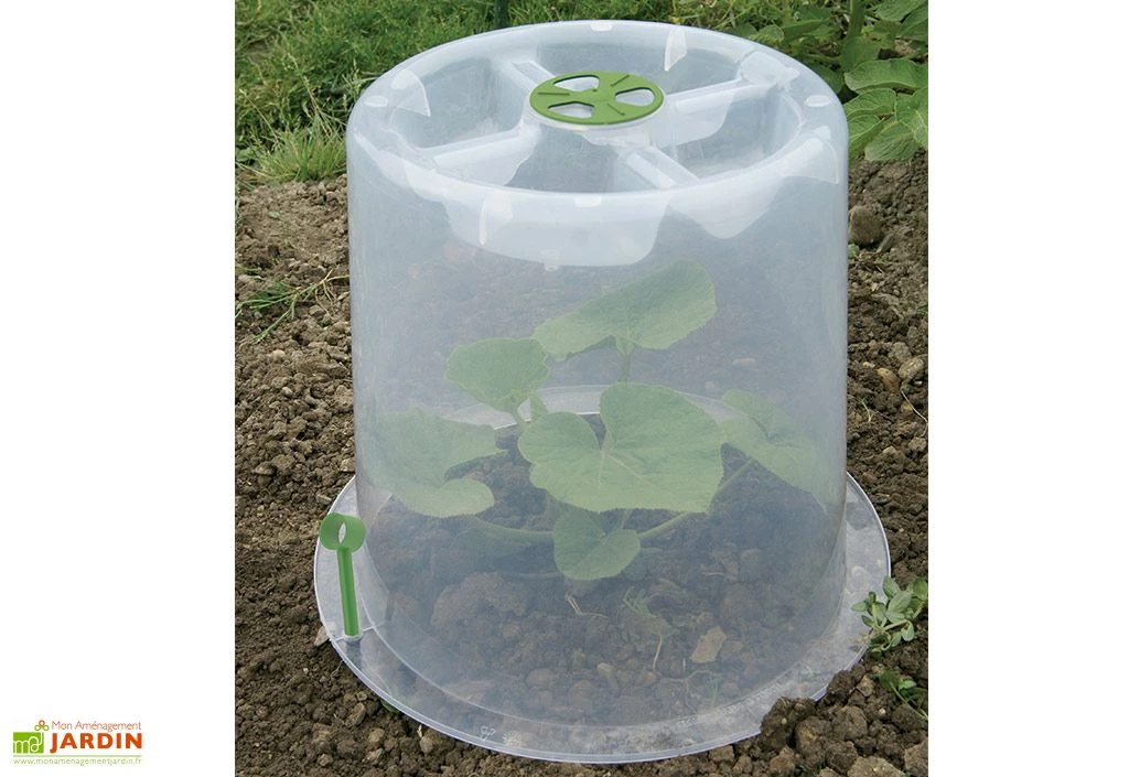 Cloche Potagère à Forcer Modulo ø35 Cm (lot De 3) 1 Cloche Potagère à Forcer Modulo ø35 Cm (lot De 3)