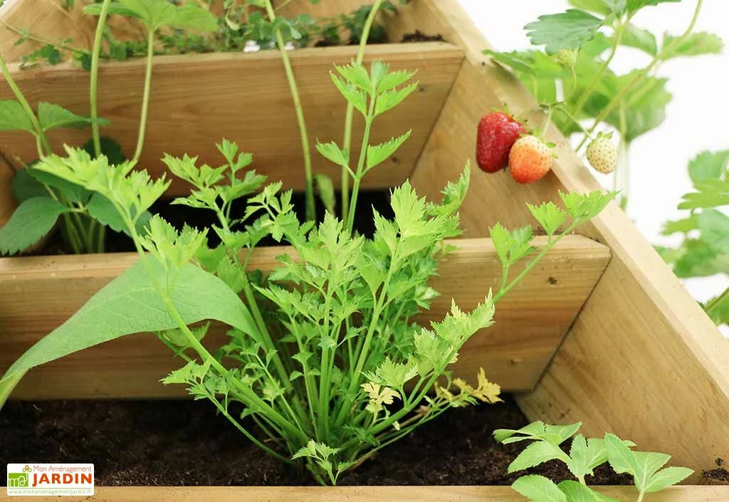 Bac à Fleurs En Bois De Pin Traité Jardinière Pyramide 80 X 76 Cm 2 Bac à Fleurs En Bois De Pin Traité Jardinière Pyramide 80 X 76 Cm – Image 2