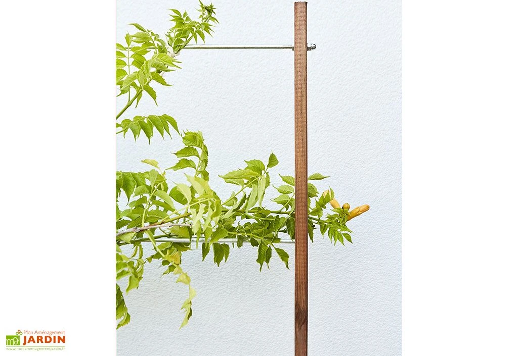 Jardinière Avec Treillis Lign Z (100x30x130cm) 4 Jardinière Avec Treillis Lign Z (100x30x130cm) – Image 4