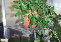 Étagère En Aluminium à Charge Lourde < 40 Kg Pour Serre Palram -Abriet Mobilier Soldes Boutique etagere aluminium charge lourde 40kg palram heavy duty shelf kit 4