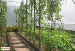 Serre Tunnel Tonneau En Polyéthylène 34 M² - Gothique 7,5 X 4,5 M -Abriet Mobilier Soldes Boutique g45750atc serre tunnel goth 7.5