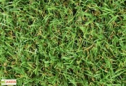 Gazon Synthétique 20 Mm – Otoño