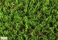 Gazon Synthétique 40 Mm – Paraiso