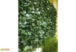 Haie Artificielle Feuilles De Lierre Duo 1x3m