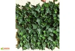 Haie De Lierre Artificielle 250 Feuilles 3 M² 8 Haie De Lierre Artificielle 250 Feuilles 3 M² -Abriet Mobilier Soldes Boutique haie artificielle lierre vert 1