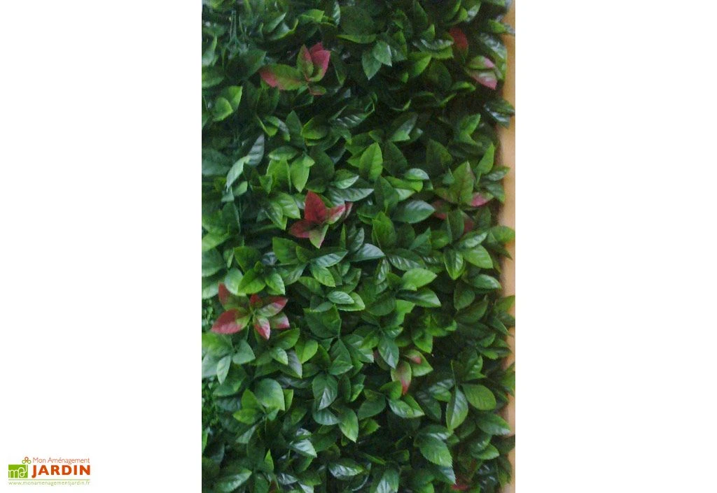 Haie Artificielle Red Robin Dentelé 3 M² 2 Haie Artificielle Red Robin Dentelé 3 M² – Image 2