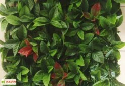 Haie Artificielle Red Robin Dentelé 3 M²