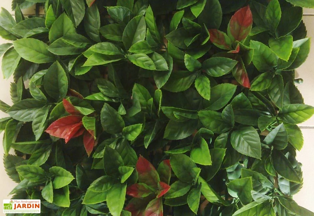 Haie Artificielle Red Robin Dentelé 3 M² 1 Haie Artificielle Red Robin Dentelé 3 M²