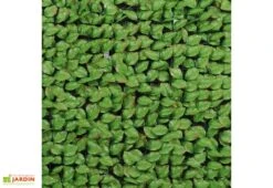 Haie Artificielle Feuilles De Rosier 1,50x3m -Abriet Mobilier Soldes Boutique haie artificielle rosier 5 1