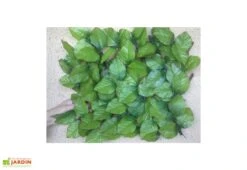 Haie Artificielle Feuilles De Rosier Treillis Extensible Sur Mesure 1x2m -Abriet Mobilier Soldes Boutique haie artificielle rosier treillis 3