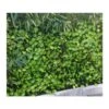 Haie Artificielle Feuilles De Rosier Treillis Extensible Sur Mesure 1x2m