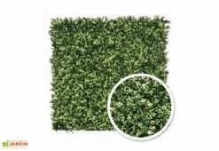Haie Décorative Buis (1x1m)