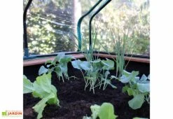 Axi Table De Culture En Bois De Hemlock + Bâche Plastique - 110 X 93 X 99 Cm -Abriet Mobilier Soldes Boutique interieur mini serre sur pieds bois