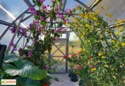 Serre De Jardin En Polycarbonate Et Acier Galvanisé -Abriet Mobilier Soldes Boutique interieur serre jardin polycarbonate