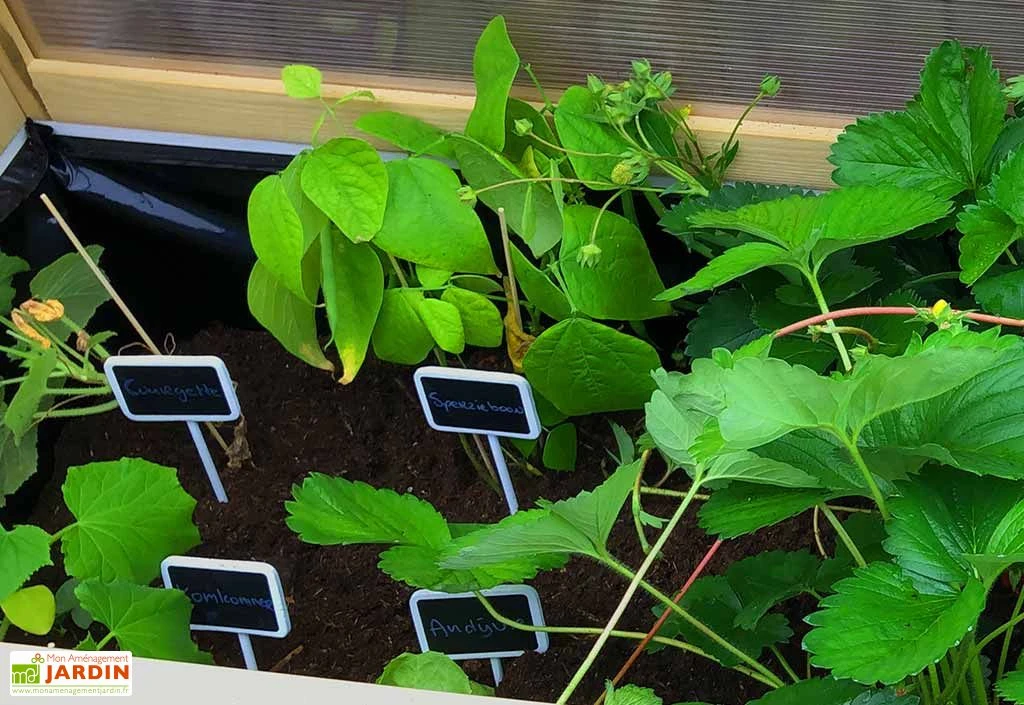 Axi Serre De Culture Sur Pieds En Bois Et Polycarbonate - 120 X 54 X 120 Cm 4 Axi Serre De Culture Sur Pieds En Bois Et Polycarbonate - 120 X 54 X 120 Cm – Image 4