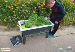 Jardinière Enfant Calipso Mini Junior + Panier Et Acc. – Bleu Pastel 6 Jardinière Enfant Calipso Mini Junior + Panier Et Acc. – Bleu Pastel -Abriet Mobilier Soldes Boutique jardiniere enfant calipso 40l panier kajo 4l bleu pastel 2