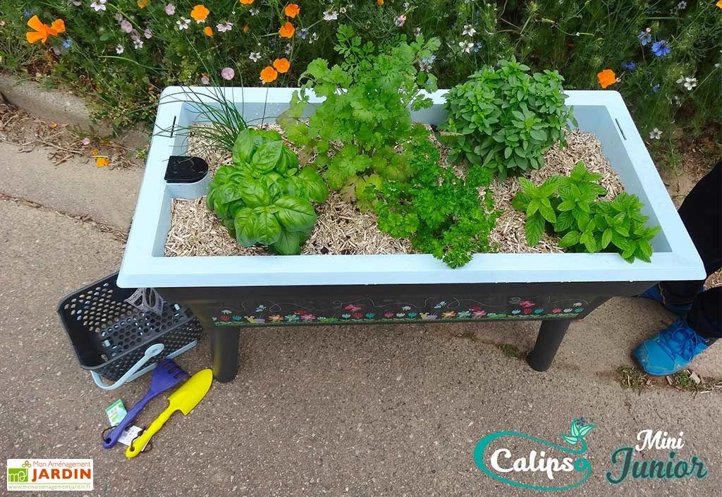 Jardinière Enfant Calipso Mini Junior + Panier Et Acc. – Bleu Pastel 4 Jardinière Enfant Calipso Mini Junior + Panier Et Acc. – Bleu Pastel – Image 4