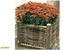 Jardinière Carrée En Bois Noisetier Tressé 40x40x40cm