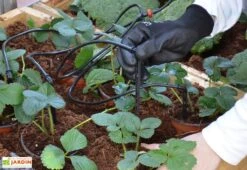 Kit D'irrigation Goutte à Goutte Pour Serre De Jardin Palram-Canopia -Abriet Mobilier Soldes Boutique kit irrigation serre palram 10m