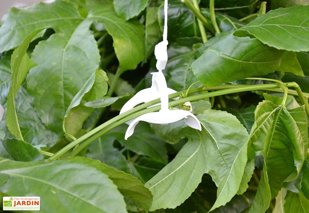 Kit De Palissage Pro Pour Serre De Jardin Palram 2 Kit De Palissage Pro Pour Serre De Jardin Palram – Image 2