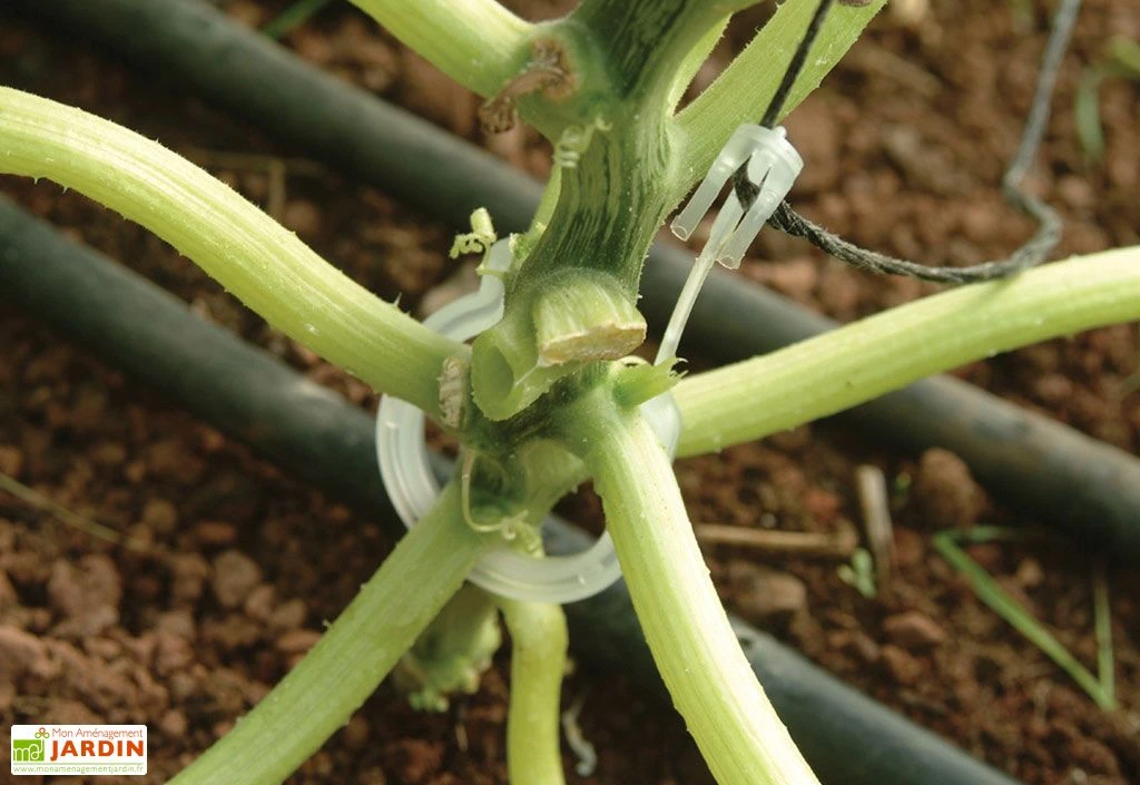 Kit De Palissage Pro Pour Serre De Jardin Palram 3 Kit De Palissage Pro Pour Serre De Jardin Palram – Image 3