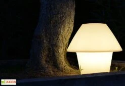 Lampe De Table Blanche Sur Secteur