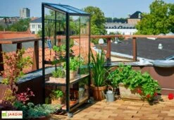 Mini Serre De Jardin En Verre Trempé – Juliana City -Abriet Mobilier Soldes Boutique mini serre jardin verre trempe aluminium juliana city