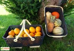 Paniers De Récolte Kajo 15L - 48 X 29 X 20 Cm (lot De 2) -Abriet Mobilier Soldes Boutique panier recolte kajo 15 jaune pastel