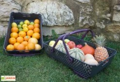 Paniers De Récolte Kajo 20L – 58 X 38 X 15 Cm (lot De 2) -Abriet Mobilier Soldes Boutique panier recolte kajo 20 prune