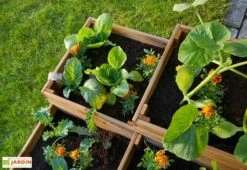 Carré Potager En Bois Autoclave à étages 4 Compartiments - 90 X 90 X 46 Cm 8 Carré Potager En Bois Autoclave à étages 4 Compartiments - 90 X 90 X 46 Cm -Abriet Mobilier Soldes Boutique plantes potager 4 compartiments