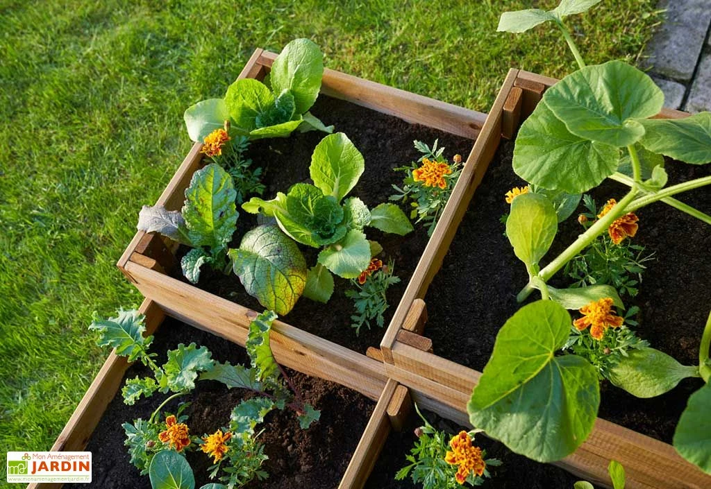 Carré Potager En Bois Autoclave à étages 4 Compartiments - 90 X 90 X 46 Cm 3 Carré Potager En Bois Autoclave à étages 4 Compartiments - 90 X 90 X 46 Cm – Image 3