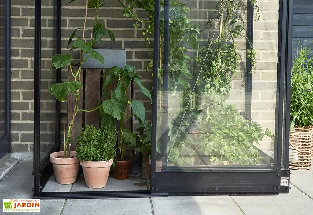 Halls Serre De Jardin Adossée En Verre Trempé Qube Lean-to 24 – 0,8 M² 2 Halls Serre De Jardin Adossée En Verre Trempé Qube Lean-to 24 – 0,8 M² – Image 2