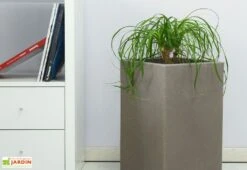 Pot De Fleurs En Polyéthylène Atlantis – 30 X 30 X 47 Cm -Abriet Mobilier Soldes Boutique pot de fleurs gris 6